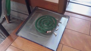 蚊取り線香.jpg