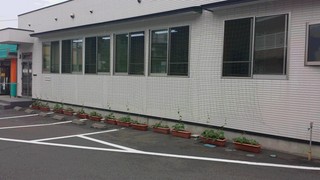朝顔2.jpg